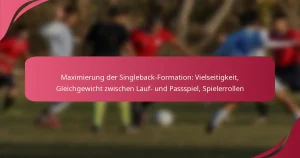 Maximierung der Singleback-Formation: Vielseitigkeit, Gleichgewicht zwischen Lauf- und Passspiel, Spielerrollen